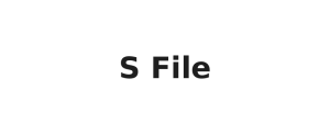 S_File
